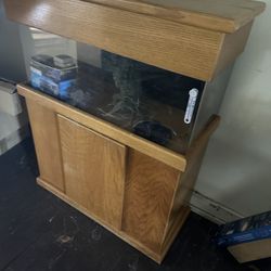 Reef Saltwater Aquarium, Fish Tank