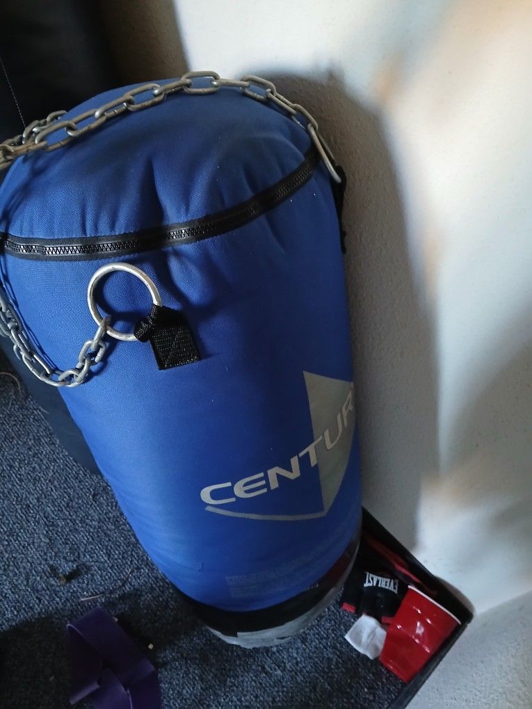 Century Punching Bag