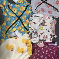 Xsmall Dog clothes And Harness Leash