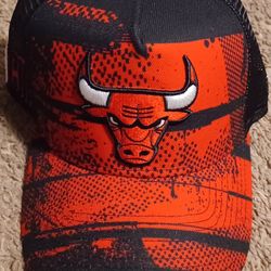 Chicago Bulls Hat Cap Snapback New ERA BRAND new Jordan Rose Pippen
