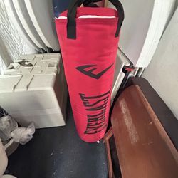 Boxing bag Everlast