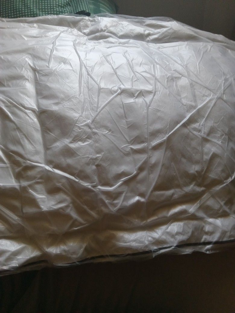Plush Pillows