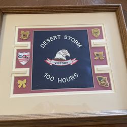 Desert Shield / Desert Storm Patch And Pin Display.