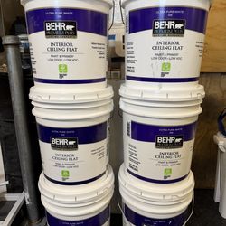 Brand New Behr Paint