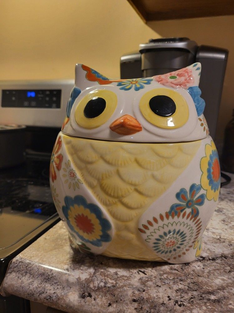 Pier 1 hand painted owl cookie jar