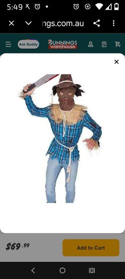 Scare crow Costume