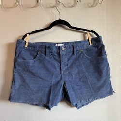 Carve Designs Oahu shorts