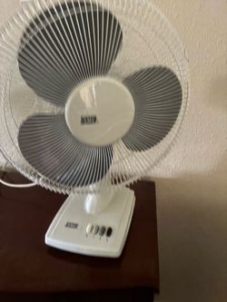Fan