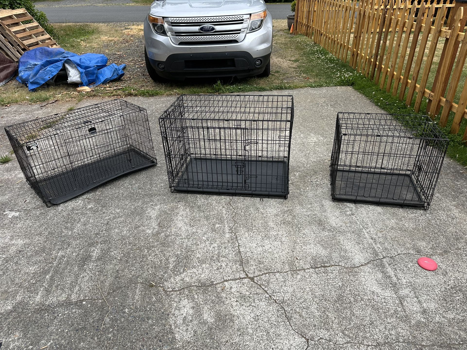 Dog Kennels