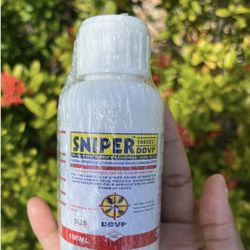 Exterminator Of Roaches🪳and Ants 🐜