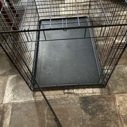 Dog kennel