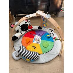 Baby Einstein Activity Playgym