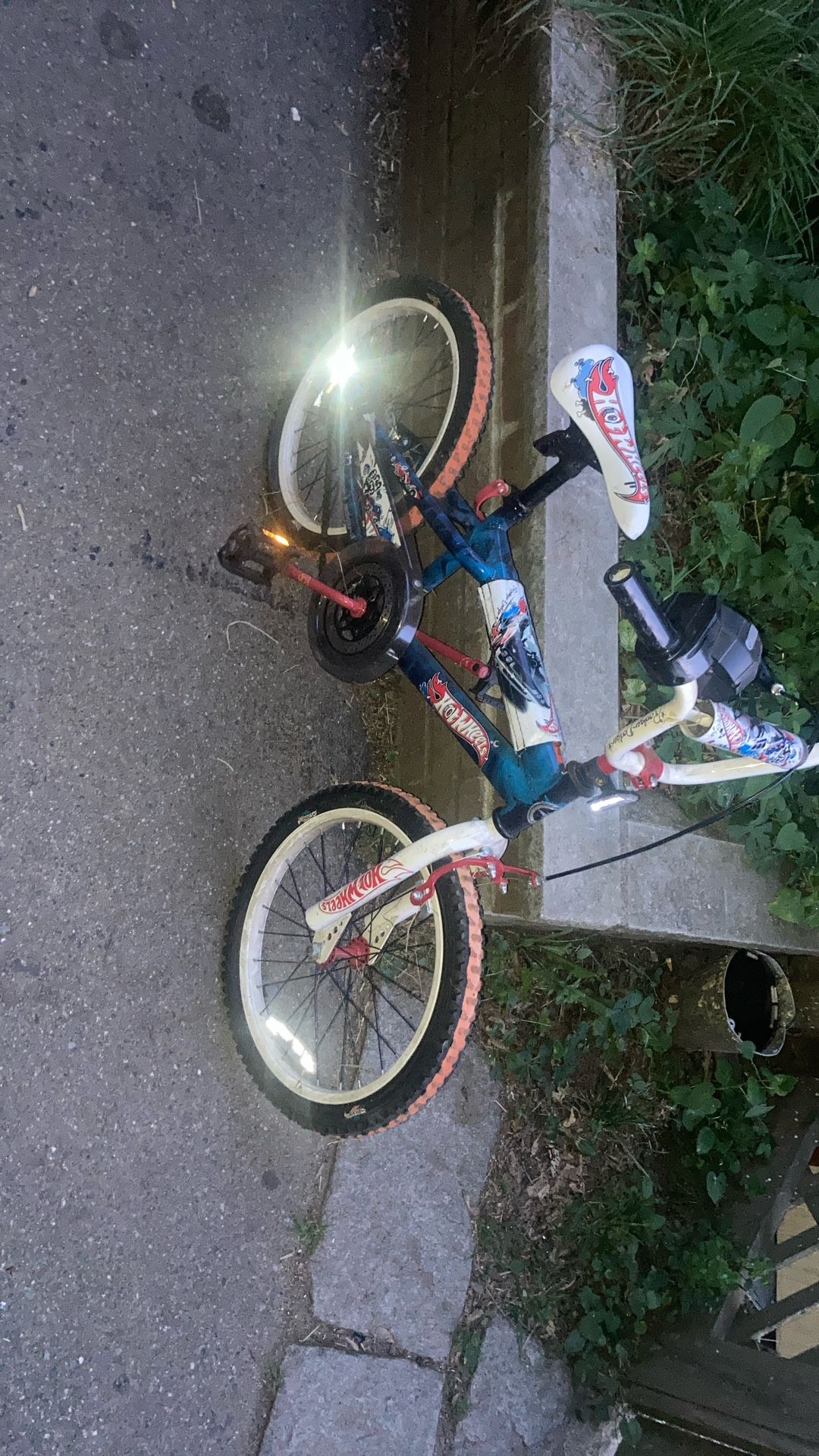 iLife Hot Wheels Bike