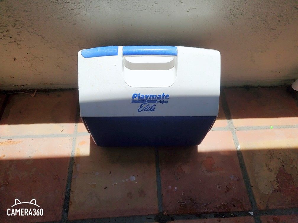 Igloo Cooler