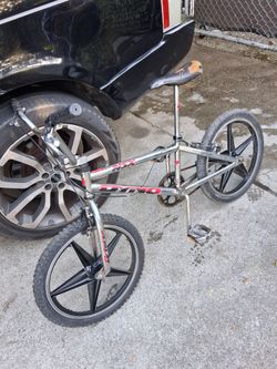 Dino bike