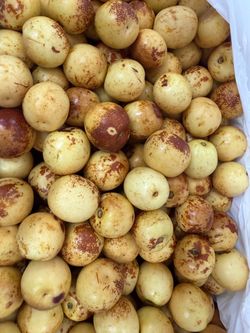 Fresh jujube from Shanxi China