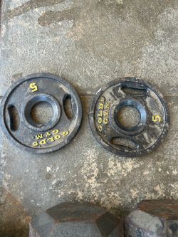 Gold's Gym 5 lb Weight Plates Pair