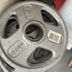 Olympic Steel Weights