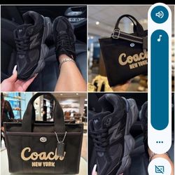 Women Sets 