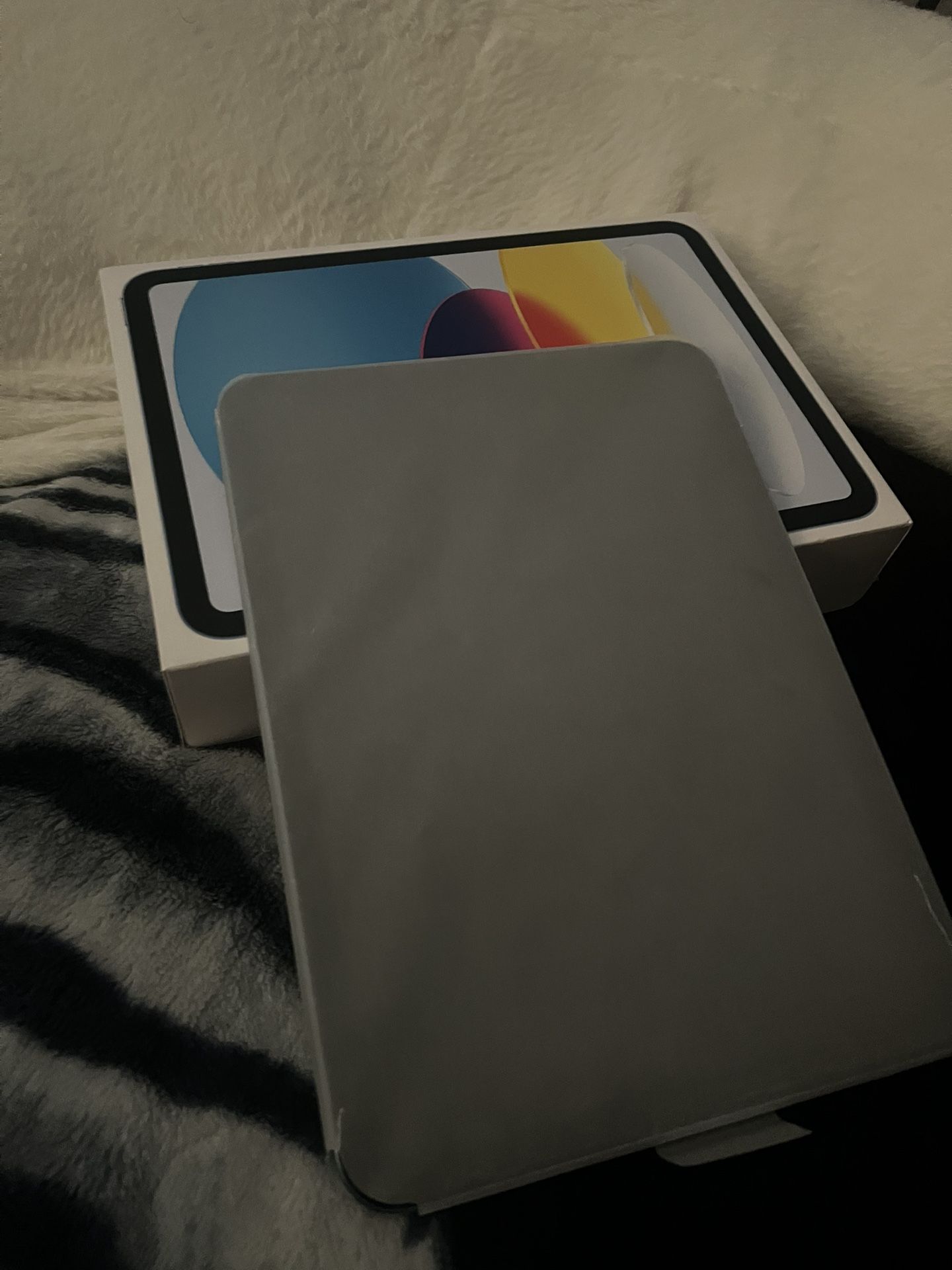iPad 10th Generation
