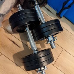 60 lb weights adjustable