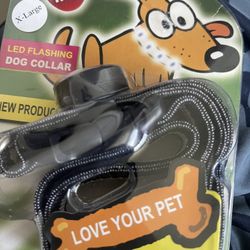 Light up Dog Collars . All Sizes / Colors