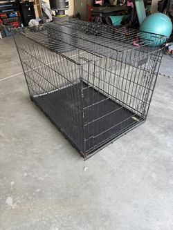 Large dog Kennel