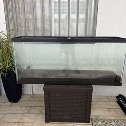 Acuario De 55 Galones 