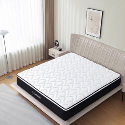 Queen Mattress, 10 Inch Hybrid Memory Foam Mattress in a Box with Pocket Springs