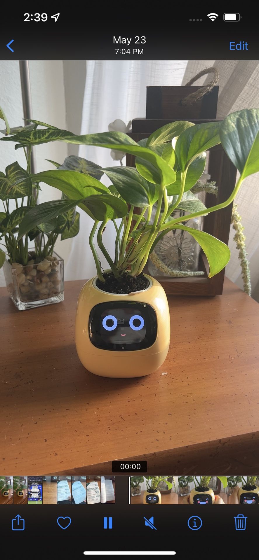 Smart flowerpot, Smart pet Planter, Intelligent Planter, 7 Smart Sensors