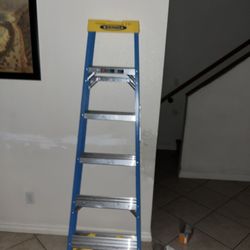 Ladder Werner 