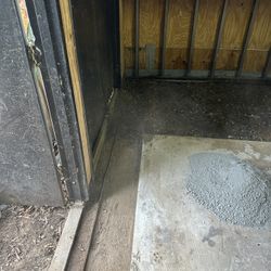 New Everything You Need 