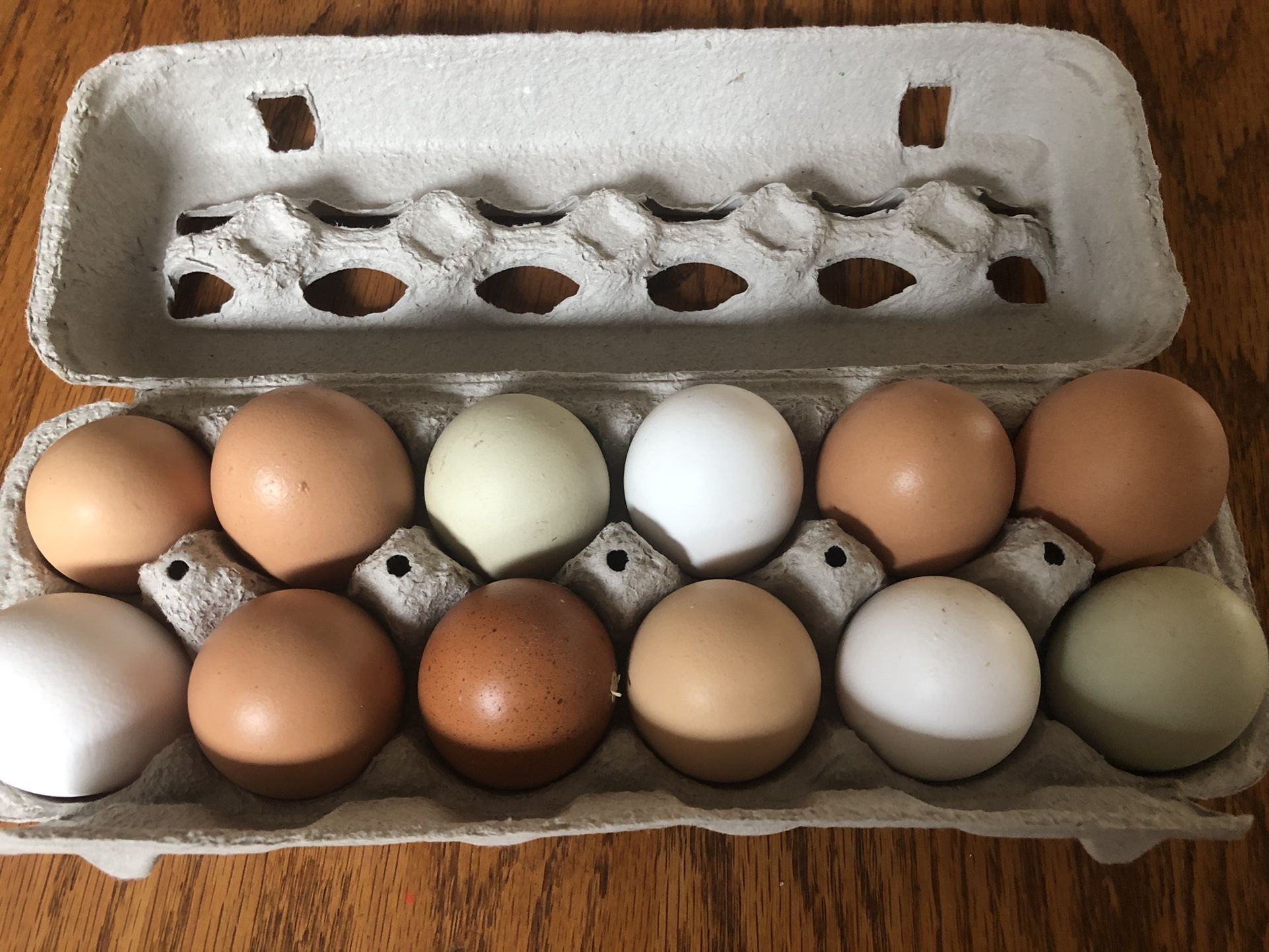 Fresh Organic Chicken Eggs