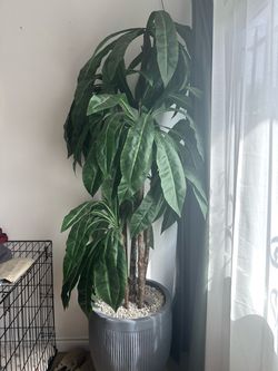 Large artificial indoor tree