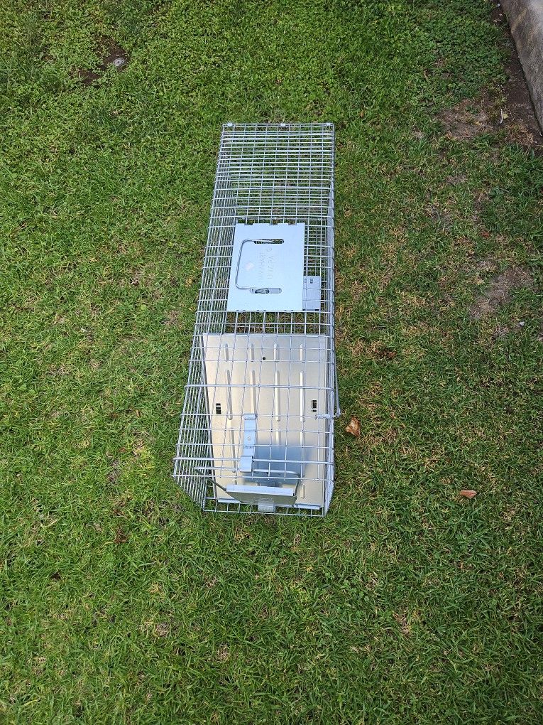 Animal Trap