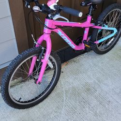 Kona Makena & Giant XtcDR