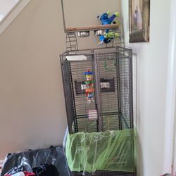 Bird Cage