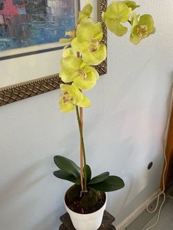 Planta artificial