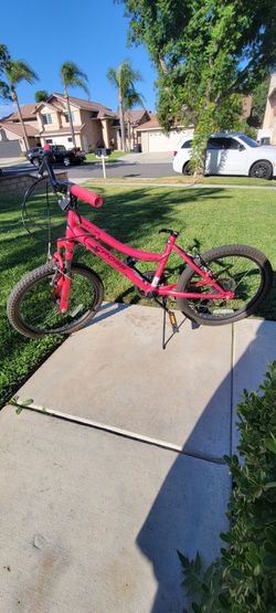 Kids Mountain Bike