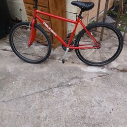 Peugeot Adult Bike