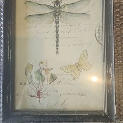 Dragonfly And Butterfly Prints
