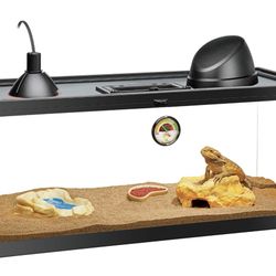 Bearded Dragon Terranium
