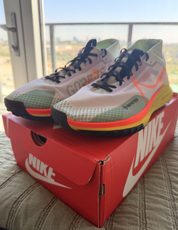 Nike Pegasus Trail 4 GORE-TEX "Light Bone"  - No Box