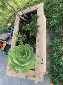 Handmade plants stand serious inquires no bargain