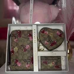 Coach 3 piece purse set