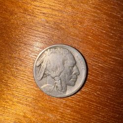 1919 Buffalo Nickel