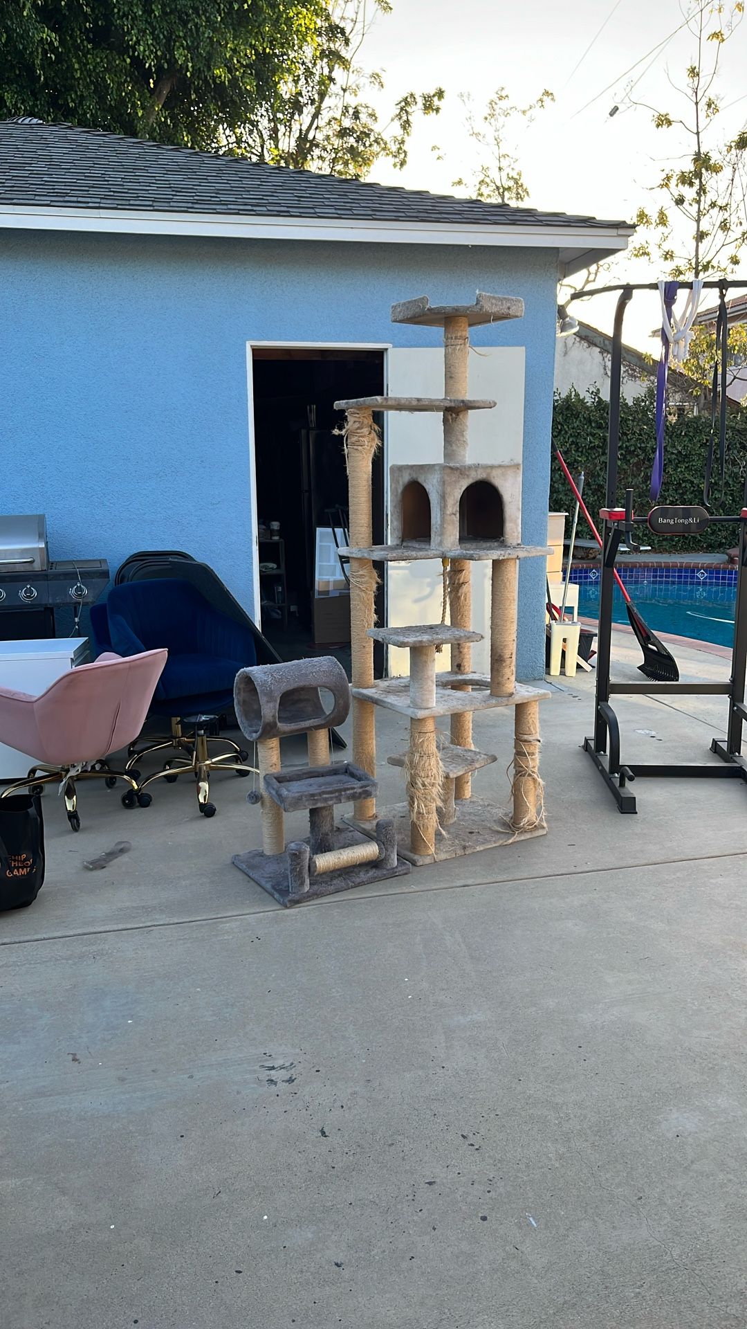 Free Cat Trees