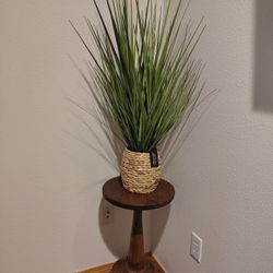 Wooden Table From Ashley's, 90 $ Plant Sold Separately 20$