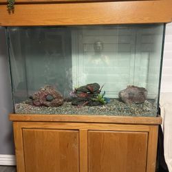 Large Fish tank 3 Pieces  Wood 