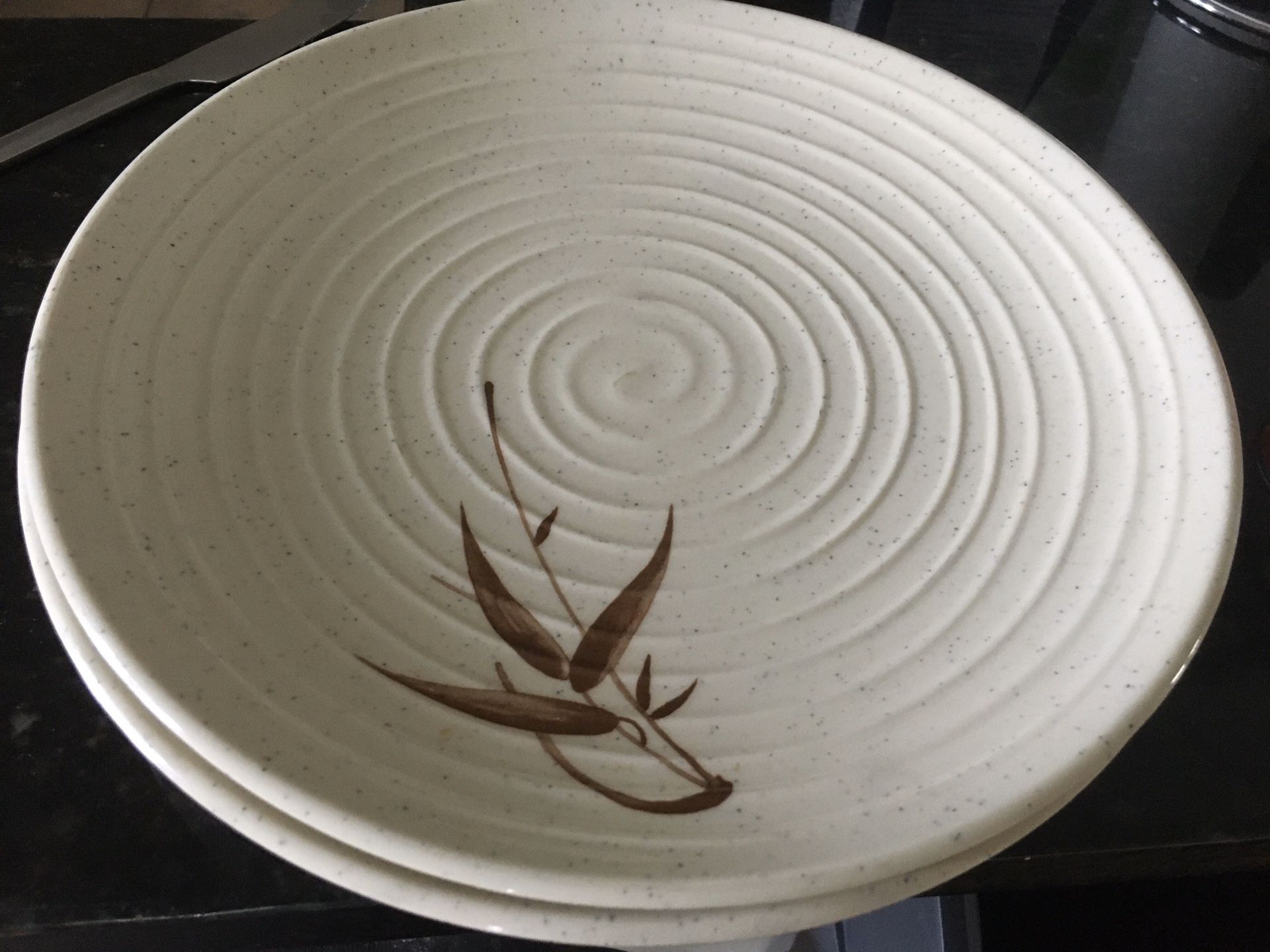 FREE - 2 plastic plates